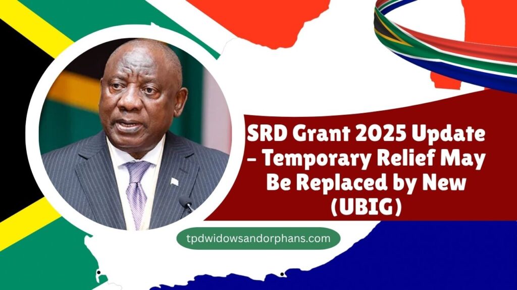 SRD Grant 2025 Update – Temporary Relief May Be Replaced by New (UBIG)